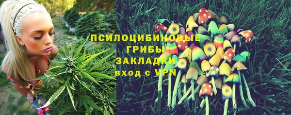 PSILOCYBIN Алексеевка